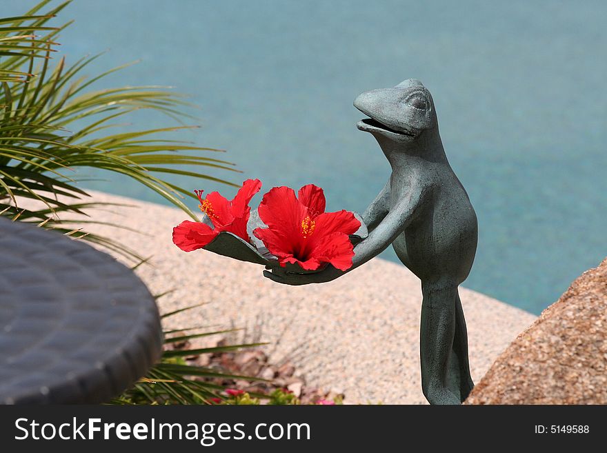 Frog Holding Hibiscus Flowers