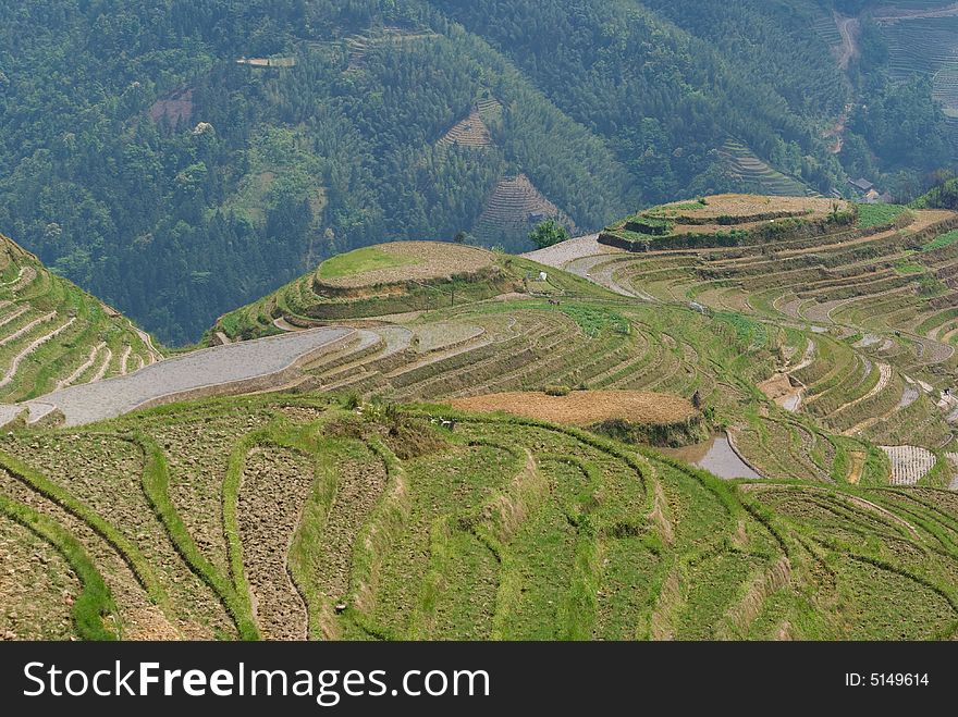 Zhuang Terraces scenic area view