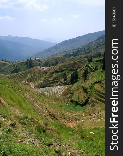 Zhuang Terraces