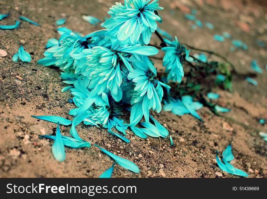 Thrown out on the street blue flowers