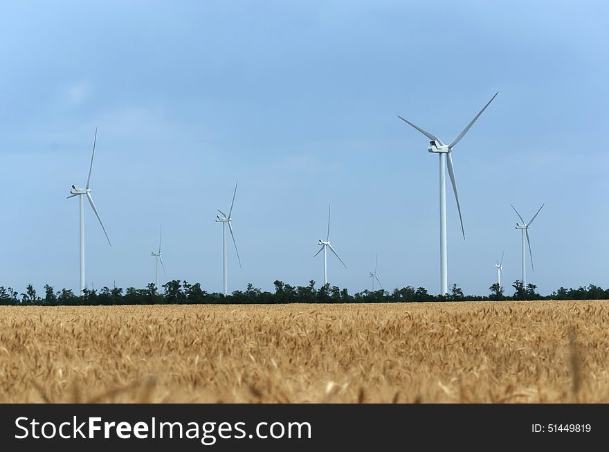 A wind farm in the wide spread field