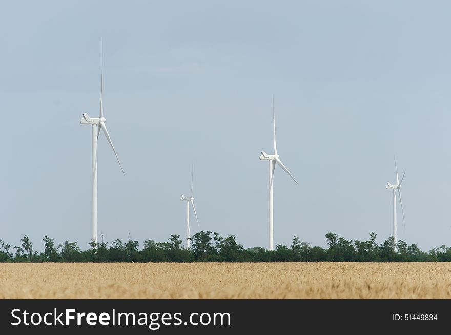 A Wind Farm In The Wide Spread Field