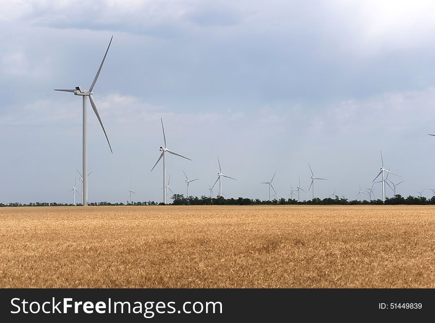 A wind farm in the wide spread wheat field