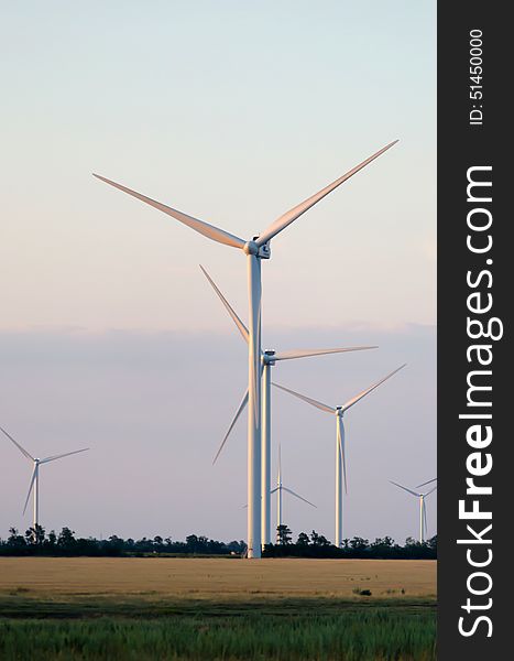 A wind farm in the wide spread wheat field