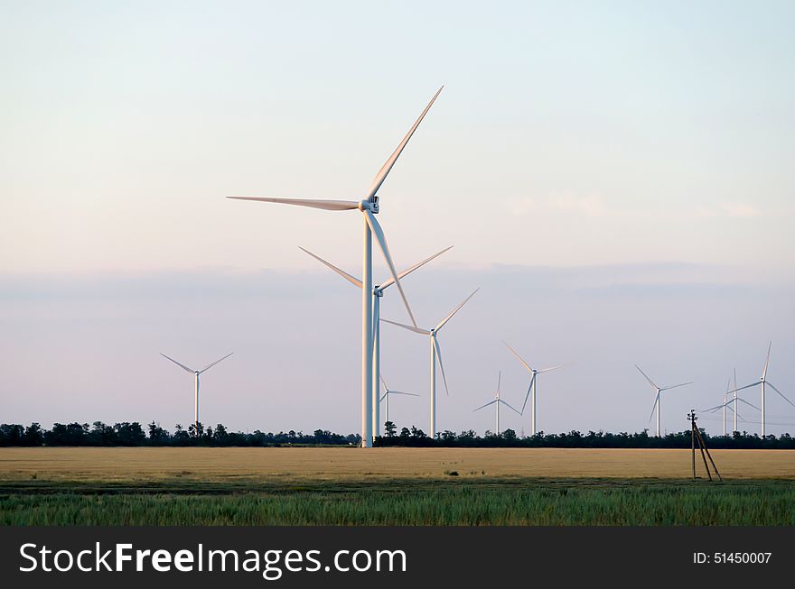 A wind farm in the wide spread wheat field