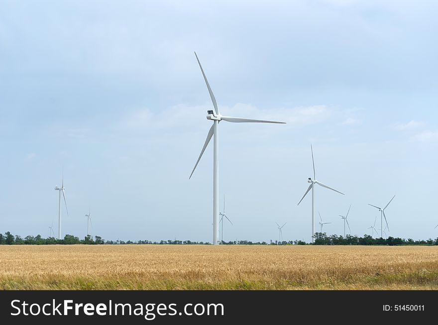 A wind farm in the wide spread field