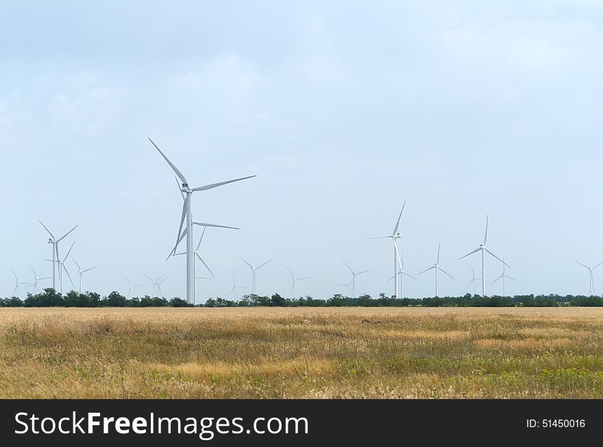 A wind farm in the wide spread field