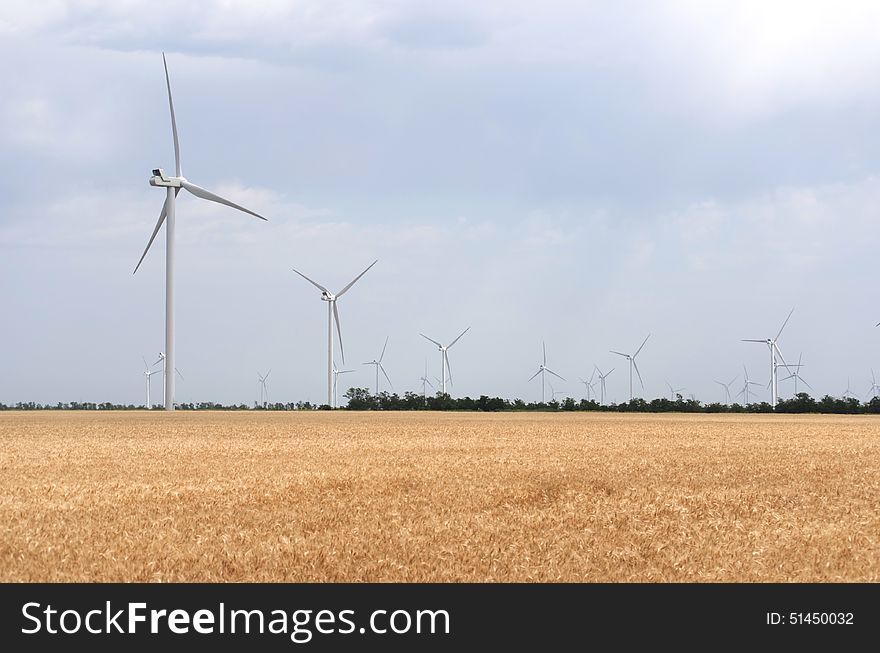 A wind farm in the wide spread wheat field