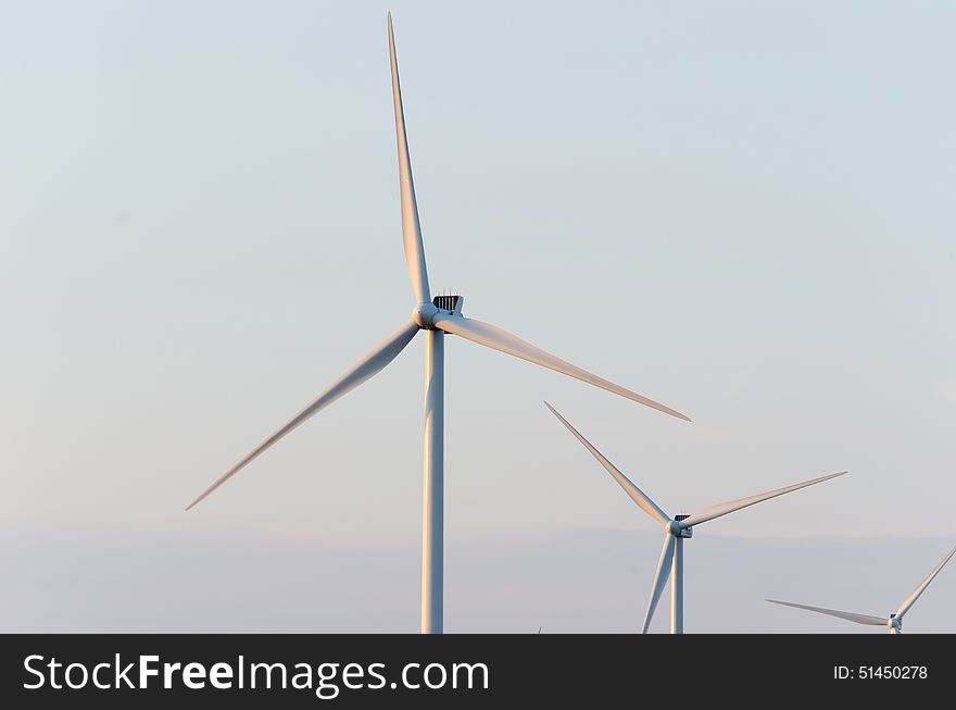 A wind farm in the wide spread wheat field