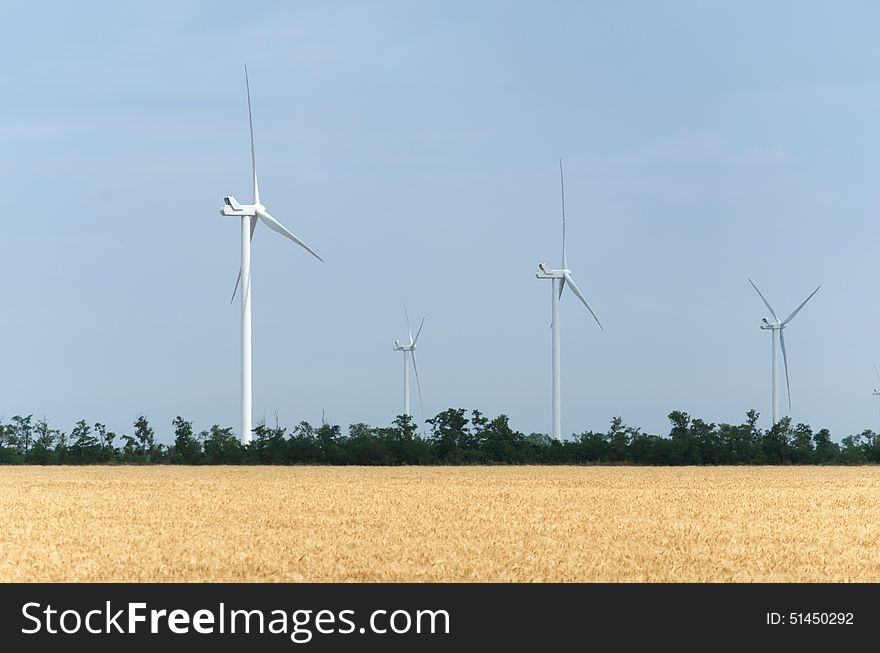 A wind farm in the wide spread wheat field