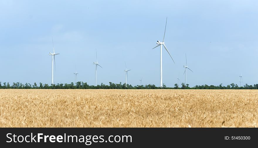 A wind farm in the wide spread wheat field
