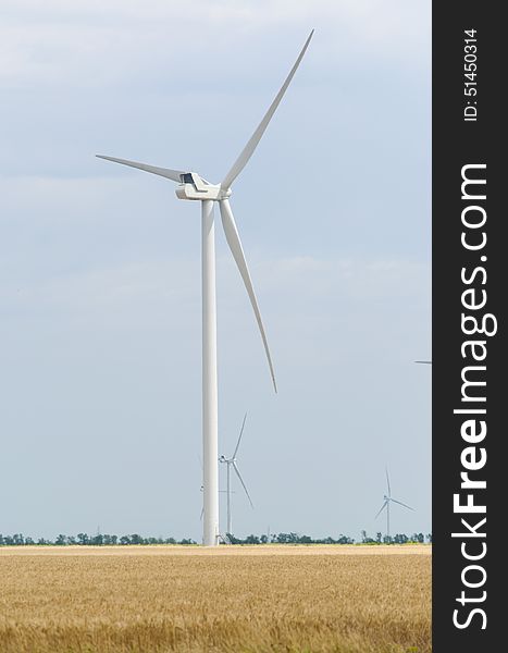 A wind farm in the wide spread wheat field