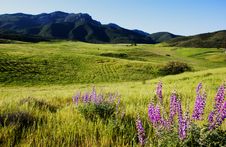 Boney Mountain Royalty Free Stock Photography Boney Mountain Royalty Free Stock Photography