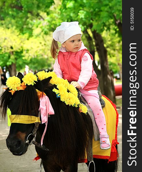 Little girl on the small pony