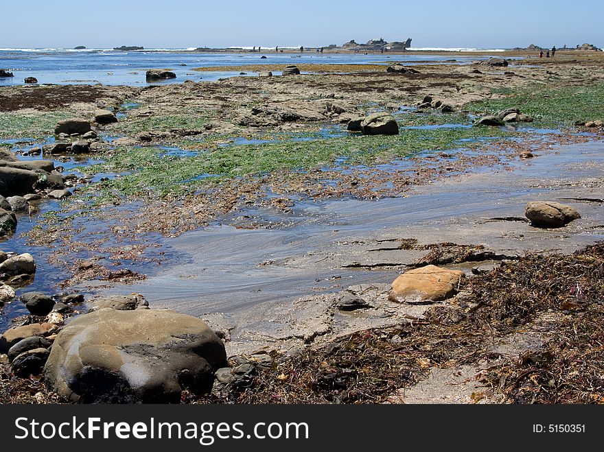 North California beach - low tide