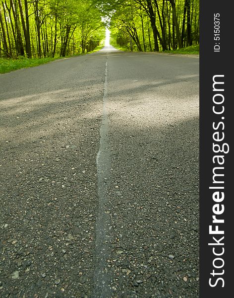 Road in the forest - focus on asphalt surface. Road in the forest - focus on asphalt surface.