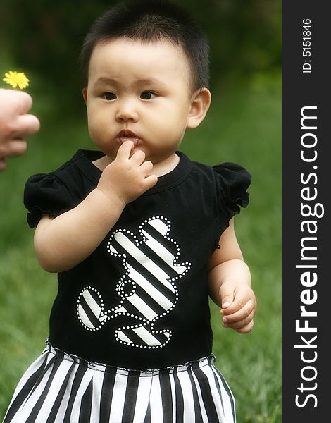 A chinese baby girl on the meadow