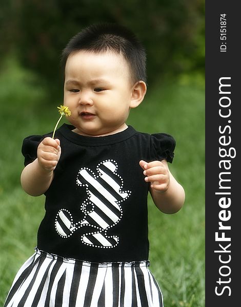 A chinese baby girl on the meadow