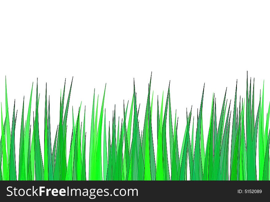 Green grass isolated on the white back
