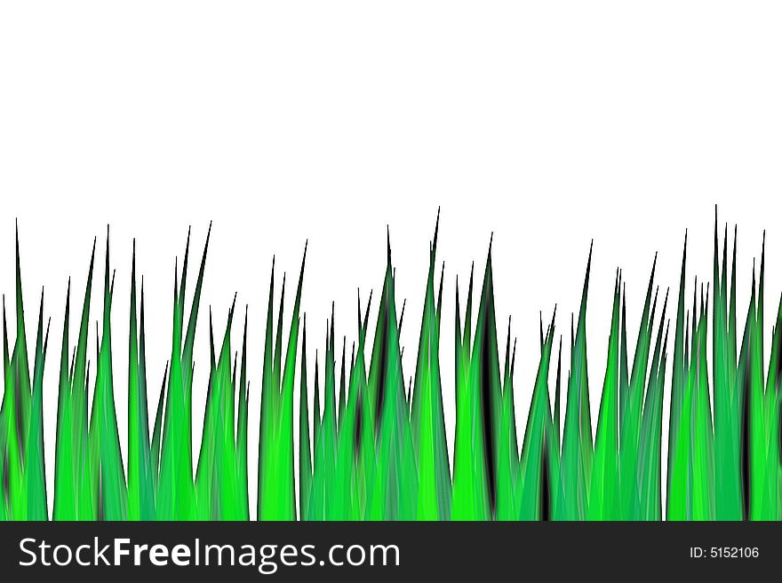 Green grass isolated on the white back. Green grass isolated on the white back