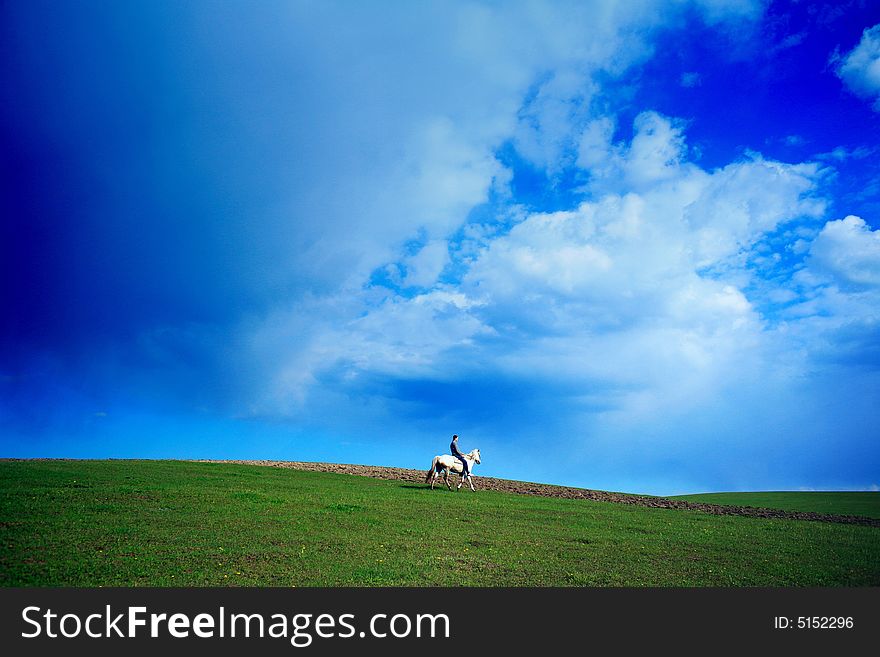 An image of a rider on white horse in the green field. An image of a rider on white horse in the green field