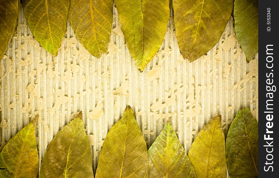 Grunge background with dry leaves
