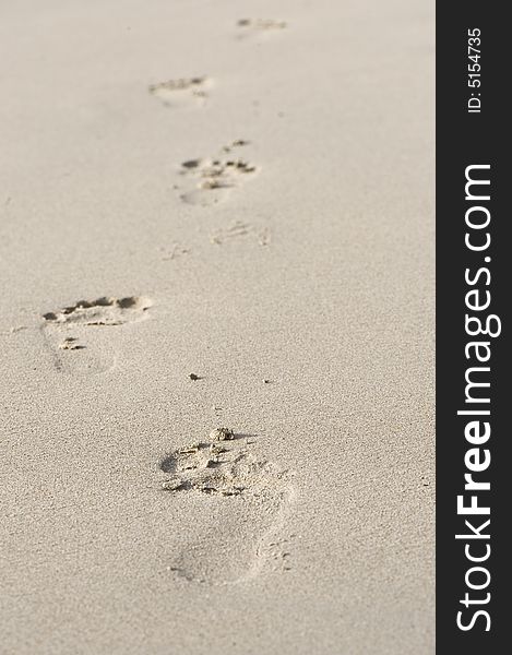 Footprint in the sand on the beach. Footprint in the sand on the beach.