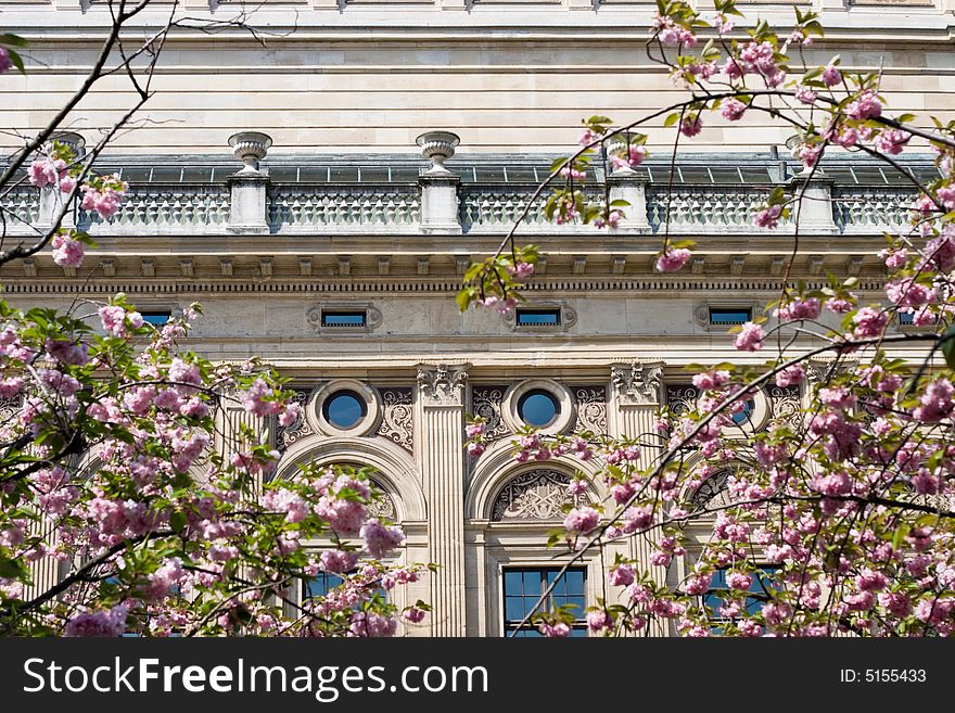 Spring blossoms on Frankfurt's Alte Oper. Spring blossoms on Frankfurt's Alte Oper