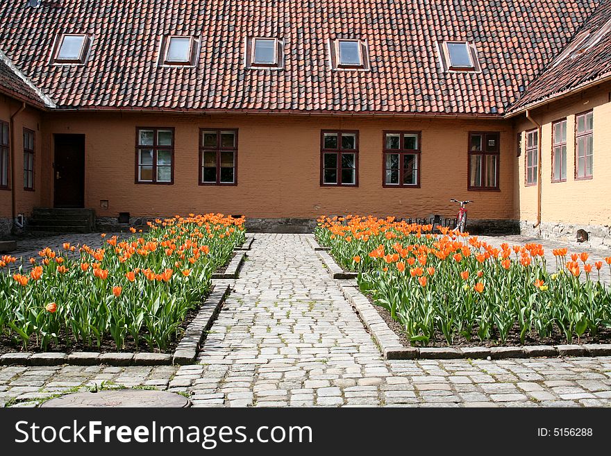 Flowers in courtyard