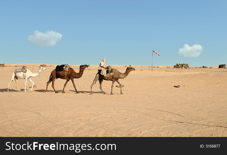 Nomad riding on first of three camels. Nomad riding on first of three camels