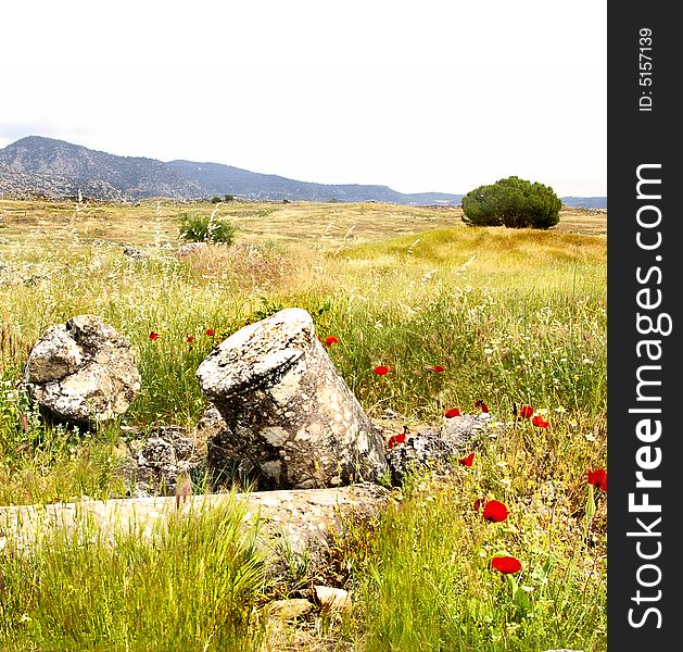 Poppy flowers and ancient remains. Poppy flowers and ancient remains