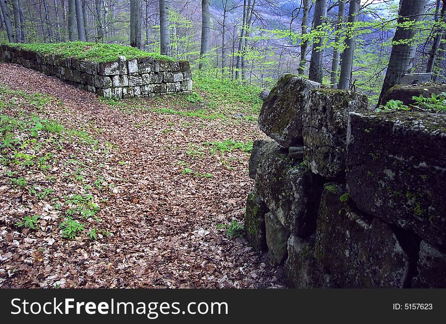 The ruins of Sarmizegetusa Dacian Fortress. The ruins of Sarmizegetusa Dacian Fortress
