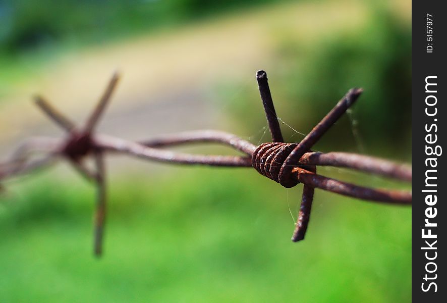 Old rusted barbed wire on the green background