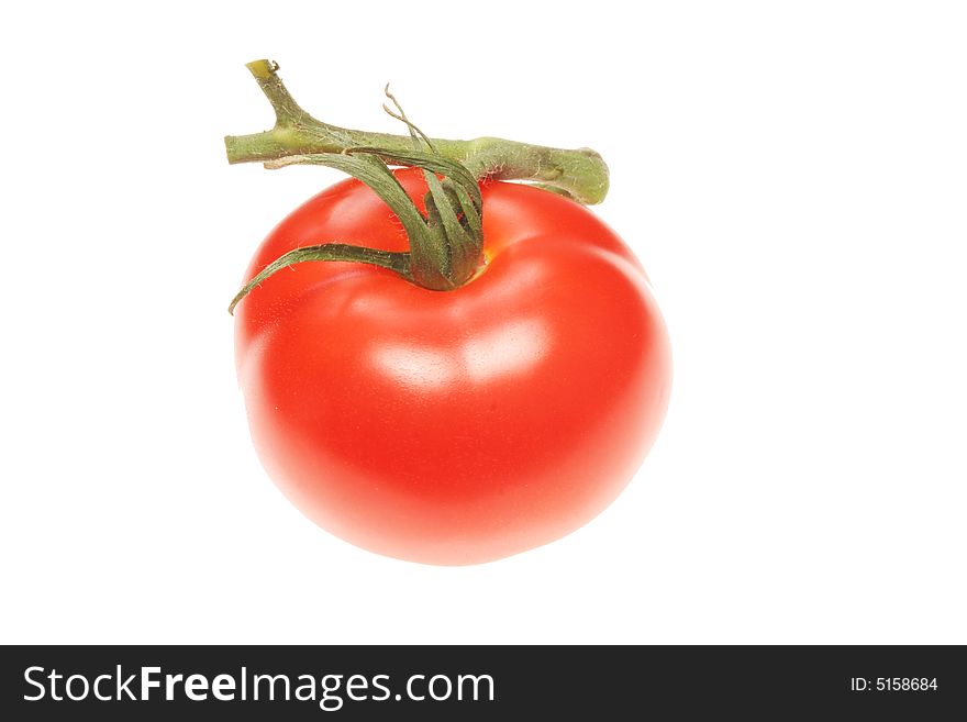 Single vine tomato isolated on a white background