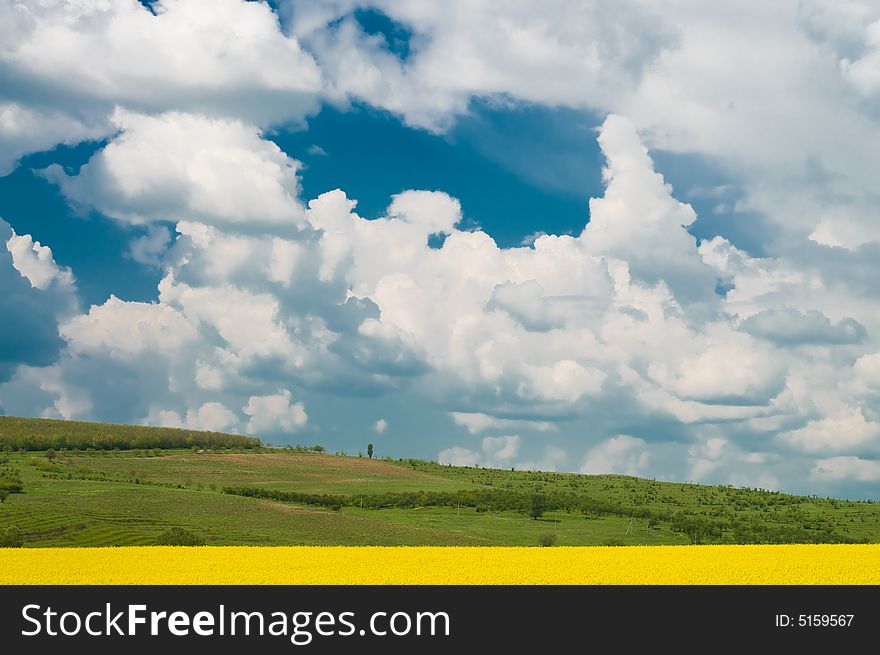 Sunny spring day, view of flowering field with cloudy sky