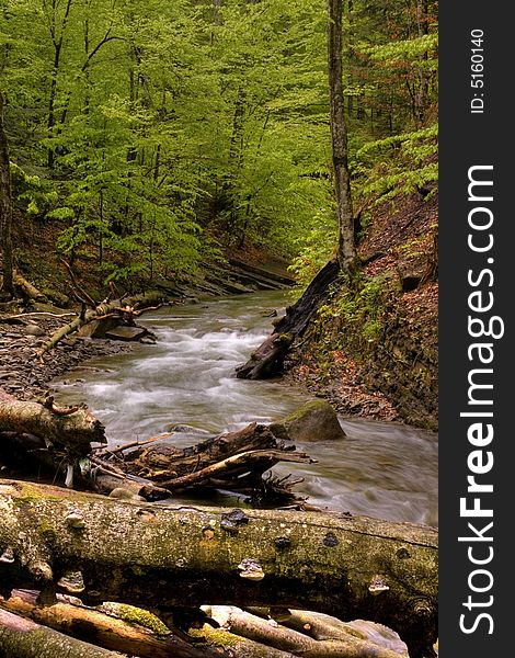 Mountain river in the forest of mountains with a waterfall