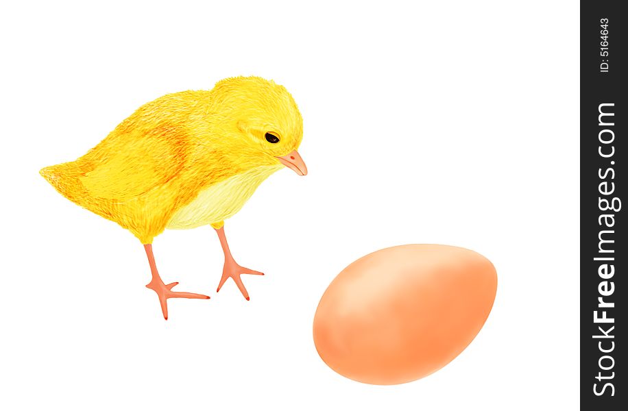 The chicken looks at an egg .Who hatchs from an egg?. The chicken looks at an egg .Who hatchs from an egg?