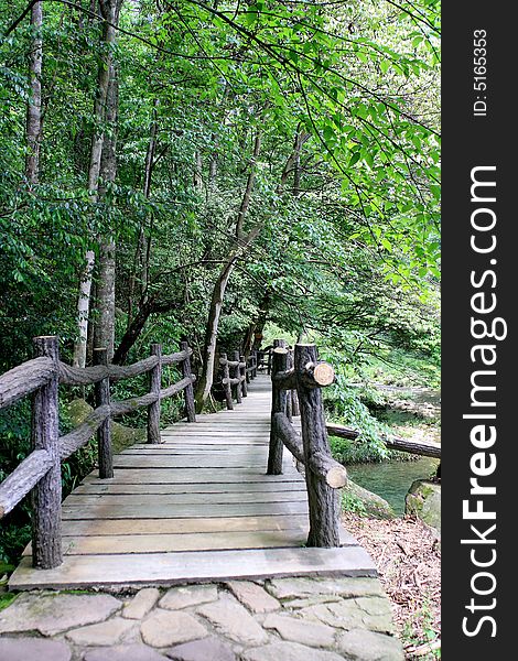 A endless road lead into woods. A endless road lead into woods