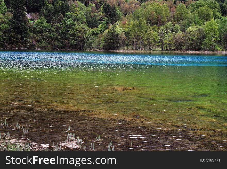 Peacock lake in jiuzhaigou valley sceneï¼Œsichuan province. Peacock lake in jiuzhaigou valley sceneï¼Œsichuan province