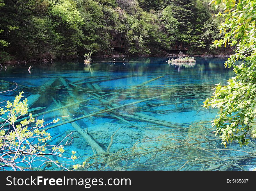 Peacock  lake in jiuzhaigou valley sceneï¼Œsichuan province. Peacock  lake in jiuzhaigou valley sceneï¼Œsichuan province