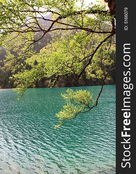 Lake in jiuzhaigou valley sceneï¼Œsichuan province. Lake in jiuzhaigou valley sceneï¼Œsichuan province