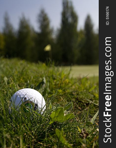 Golf theme - balls in grass