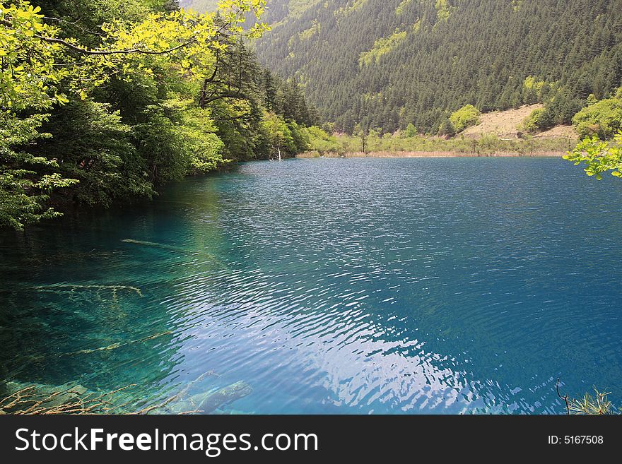 Beautiful lake in jiuzhaigou valley sceneï¼Œsichuan province