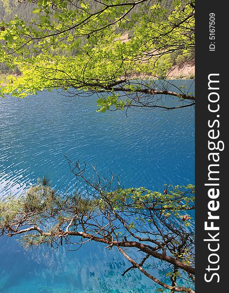 Lake in jiuzhaigou valley sceneï¼Œsichuan province. Lake in jiuzhaigou valley sceneï¼Œsichuan province