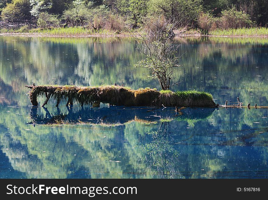 Peacock Lake