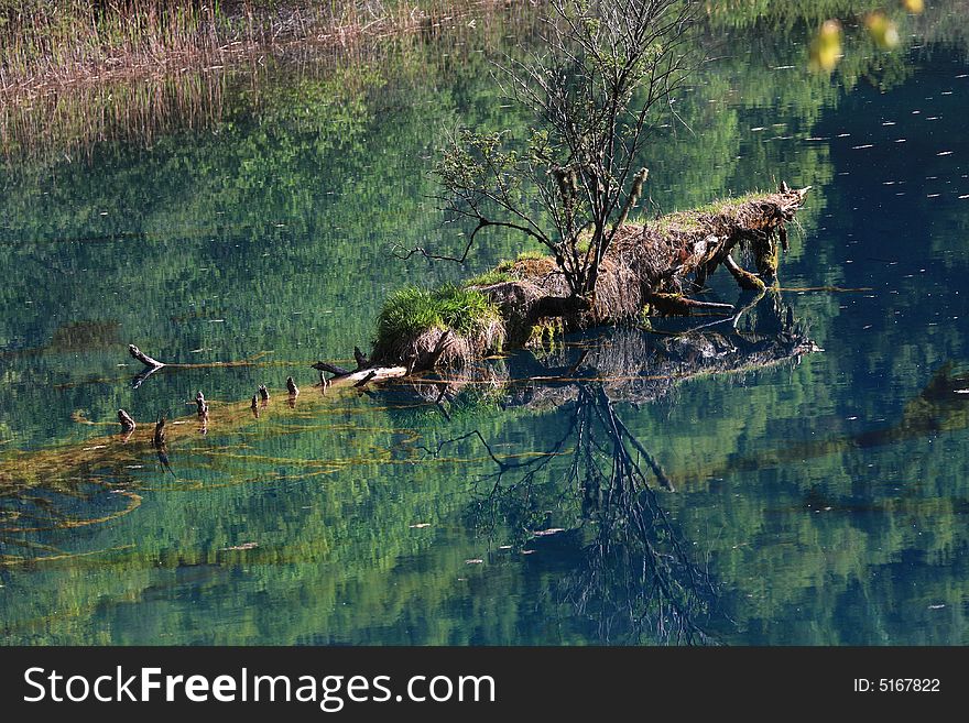 Peacock lake in jiuzhaigou valley sceneï¼Œsichuan province