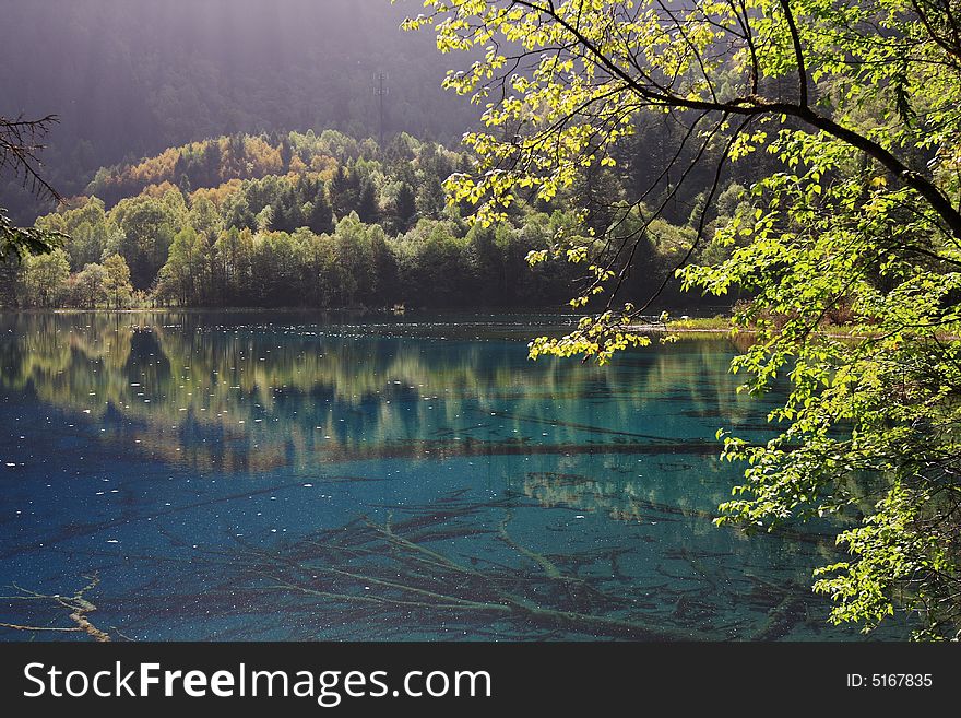 Mirror lake in jiuzhaigou valley sceneÃ¯Â¼Å’sichuan province