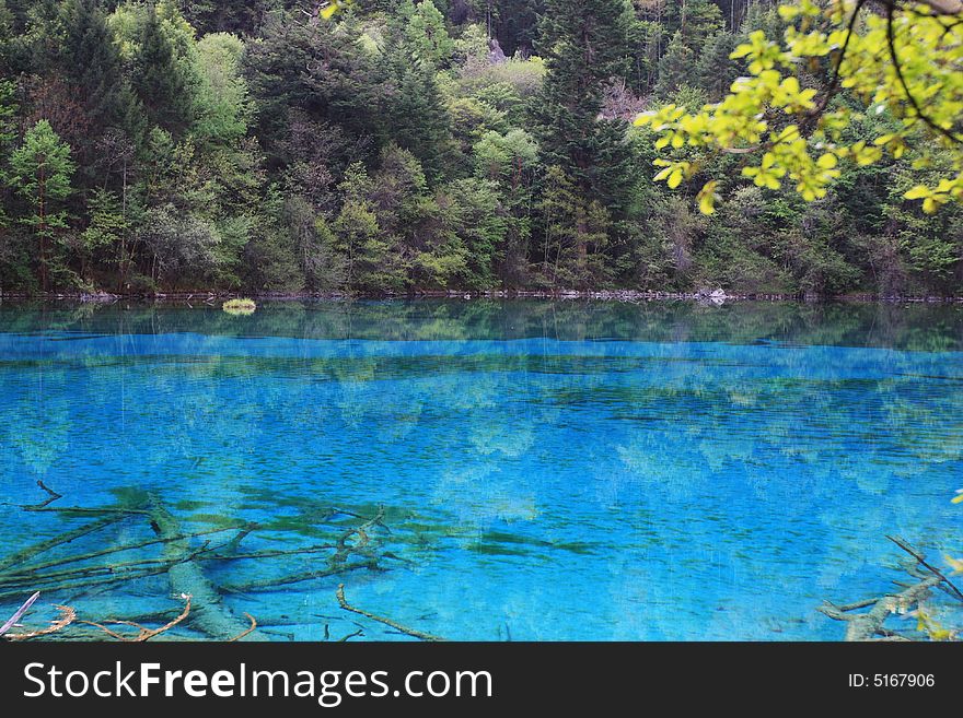 Peacock lake in jiuzhaigou valley sceneï¼Œsichuan province