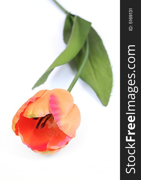 Plastic tulip on white background isolated