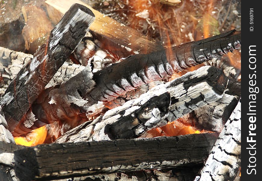 Fire wood burning outdoor closeup